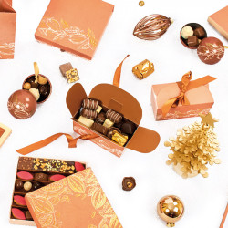 Ballotin Ruban "Terracotta" - Packaging pour chocolatiers / Pâtissiers