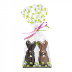Sachet à pois verts "spécial moulages" - Emballage pour chocolatiers