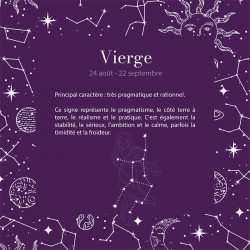 Carte Caméléon dans le thème de l'Astrologie H-19VIE - Embaline