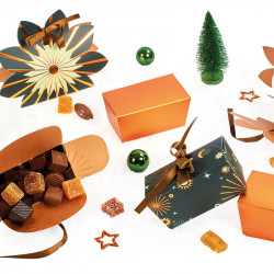 Ballotin Ruban "Céleste" - Packaging de luxe pour chocolatiers !