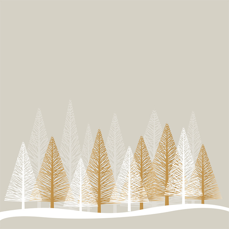 Carte personnalisable Caméléon® dans le thème "Hiver" F-20 Carte personnalisable Caméléon® dans le thème "Hiver" F-20