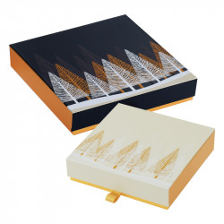 Boîte molière aimantée collection Noël 2025 Épicéa
