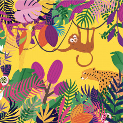 Carte Caméléon collection "Exotique" - D-20 - Packaging Embaline