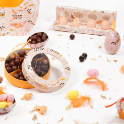 Coquetterie "Symphonie" Photo numéro 5 : Boîte Coquetterie "Symphonie" avec emplacements pour 5 œufs. Présentation pratique et soignée pour boutiques et chocolats de Pâques.