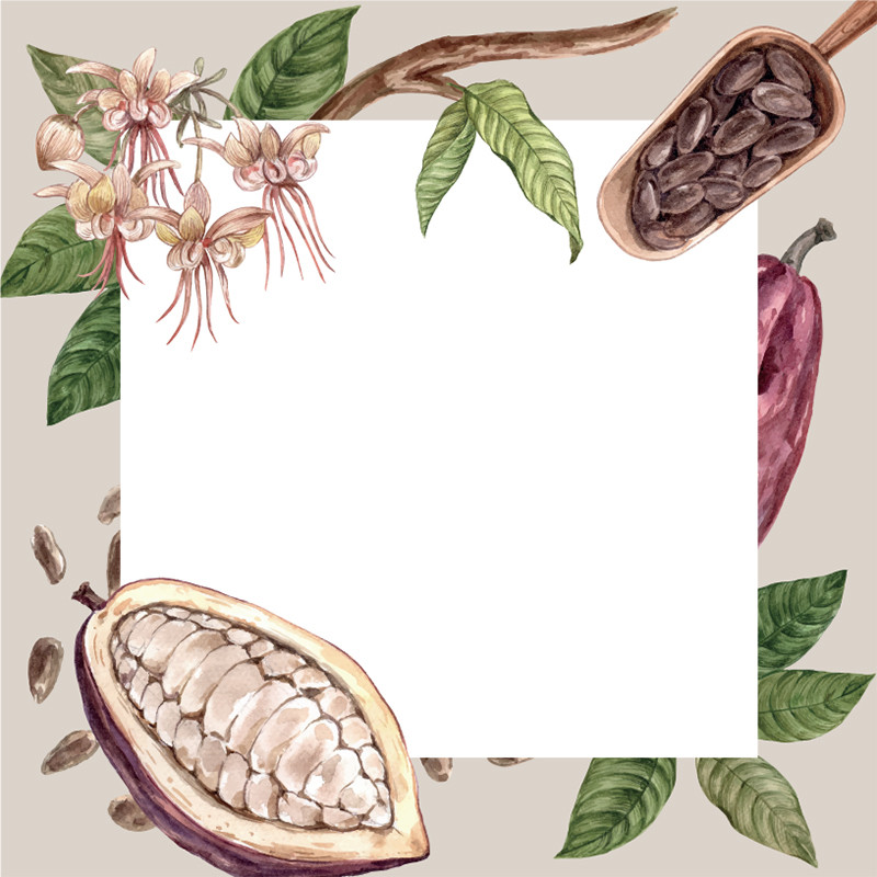 Visuel Caméléon® B-02 : Packaging chocolat Caméléon® : le visuel B-02 valorise votre métier. Impression ou carte à glisser dans vos boîtes pour chocolatiers professionnels.