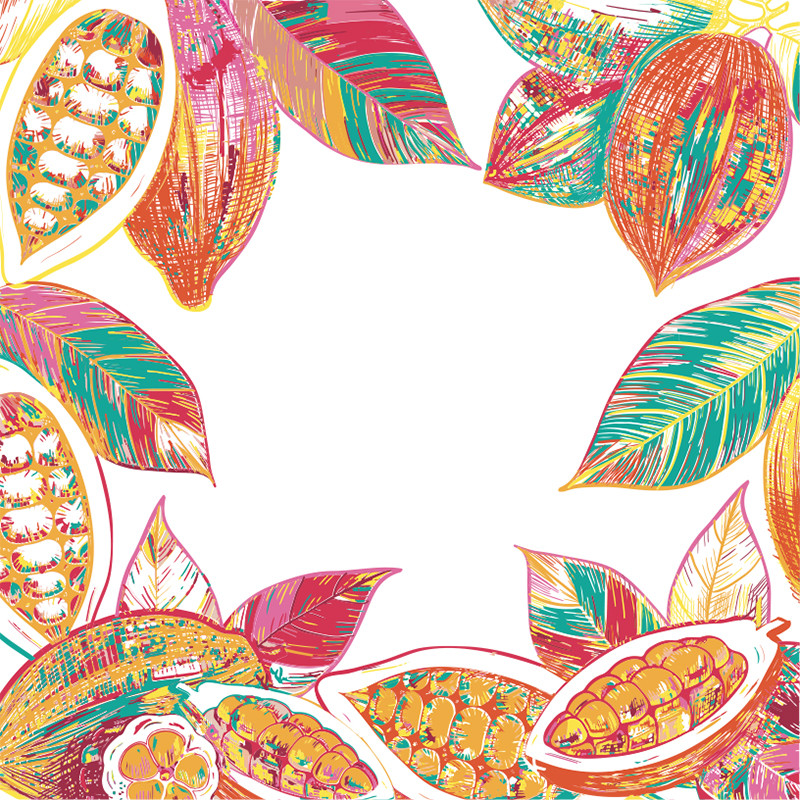 Visuel Caméléon® B-09 : Packaging chocolat Caméléon® : le visuel B-09 valorise votre métier. Impression ou carte à glisser dans vos boîtes pour chocolatiers professionnels.