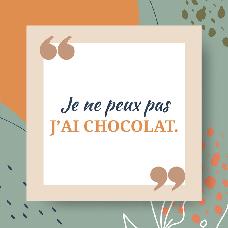 Visuel Caméléon® B-15D : Packaging chocolat Caméléon® : le visuel B-15D pour un jeu de mot gourmand. Impression ou carte à glisser dans vos boîtes pour chocolatiers professionnels.