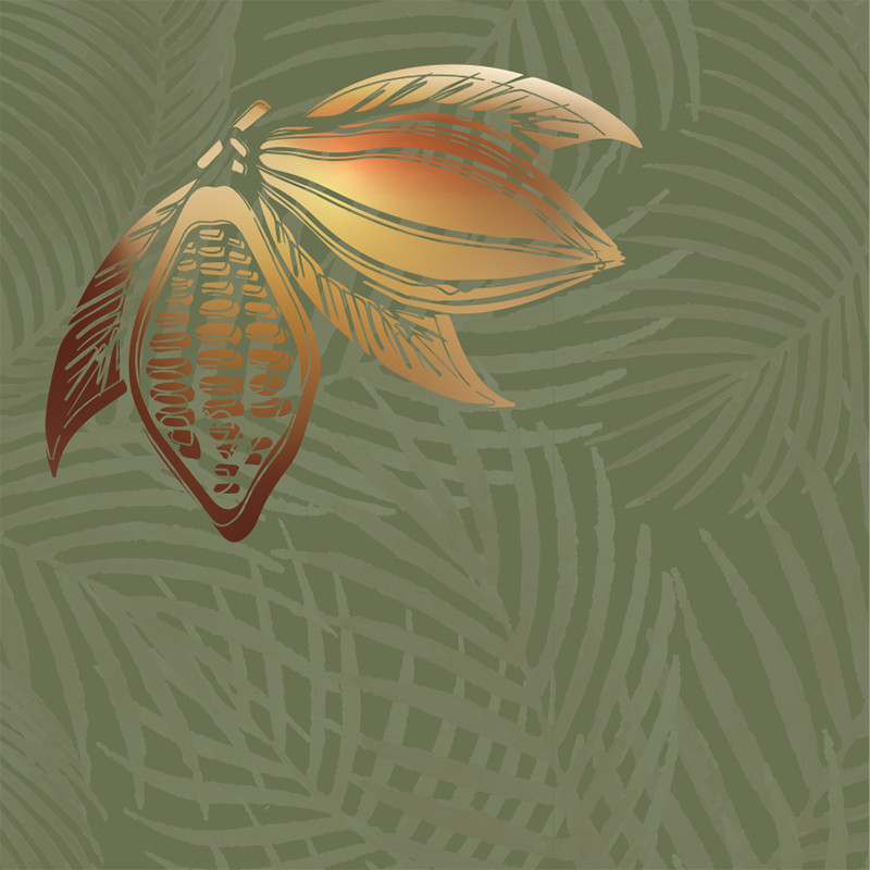 Visuel Caméléon® B-20 : Packaging chocolat Caméléon® : le visuel B-20 une cabosse de cacao cuivrée. Impression ou carte à glisser dans vos boîtes pour chocolatiers professionnels.