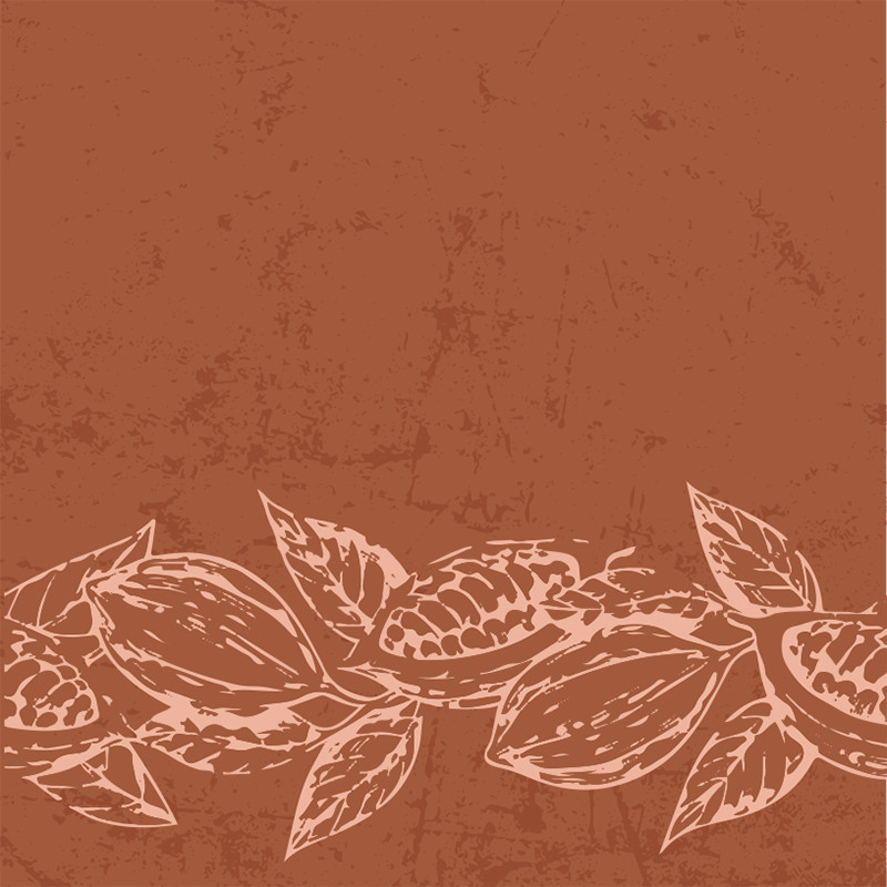 Visuel Caméléon® B-23 : Packaging chocolat Caméléon® : le visuel B-23 une ode au cacao et ses couleurs. Impression ou carte à glisser dans vos boîtes pour chocolatiers professionnels.