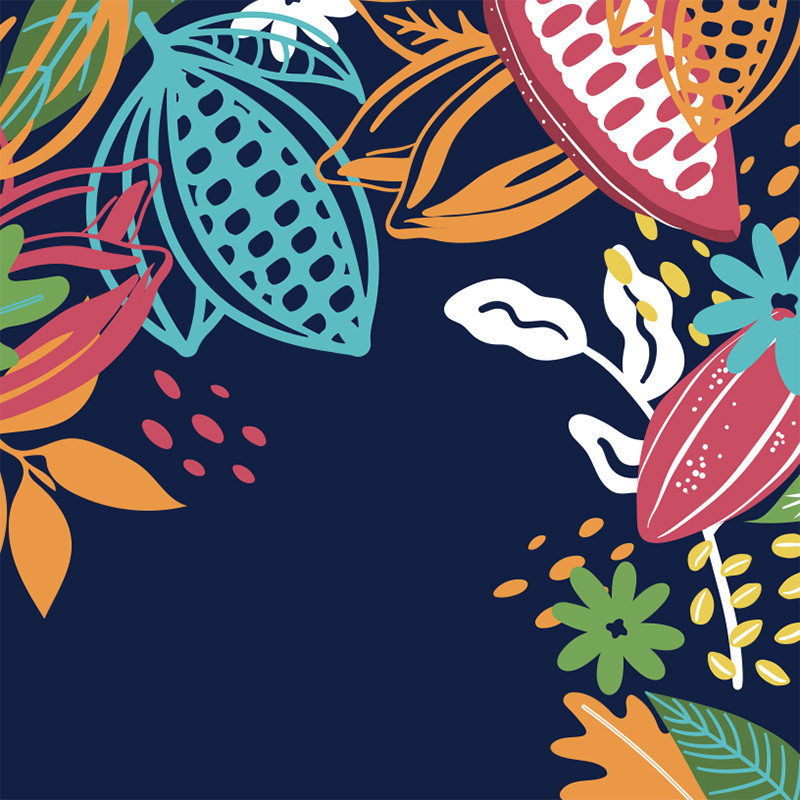 Visuel Caméléon® B-26 : Packaging chocolat Caméléon® : le visuel B-26 illustration colorée de cacao. Impression ou carte à glisser dans vos boîtes pour chocolatiers professionnels.