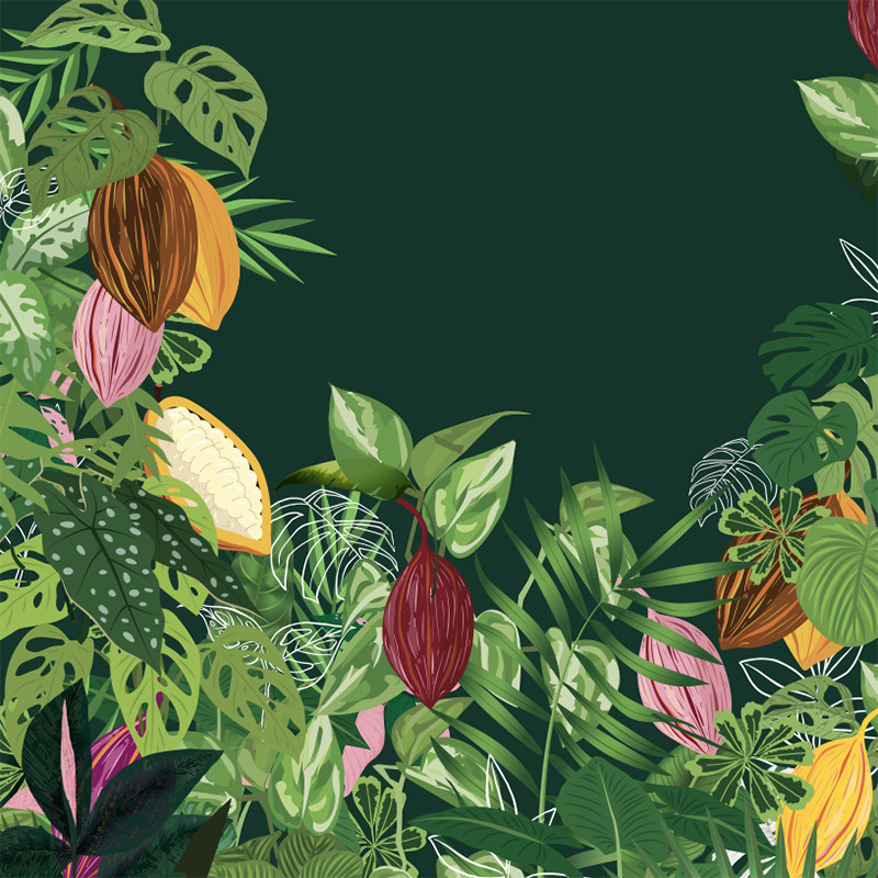 Visuel Caméléon® B-27 : Packaging chocolat Caméléon® : le visuel B-27 un jardin coloré pour le cacao. Impression ou carte à glisser dans vos boîtes pour chocolatiers professionnels.