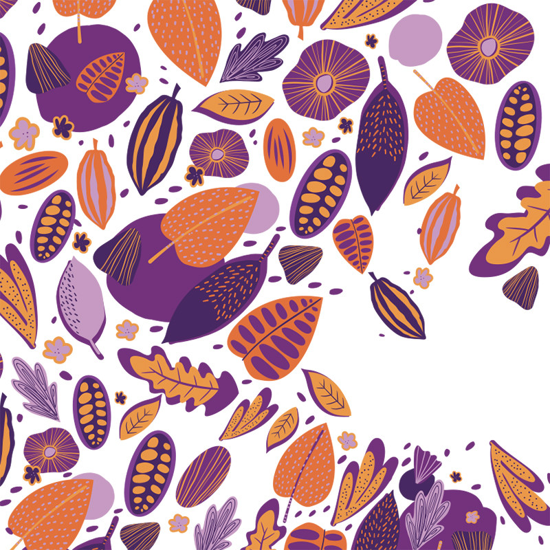 Visuel Caméléon® B-29 : Packaging chocolat Caméléon® : le visuel B-29 un look cacao moderne et peps. Impression ou carte à glisser dans vos boîtes pour chocolatiers professionnels.