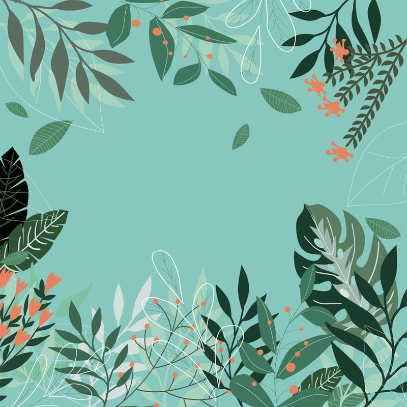 Visuel Caméléon® C-20 : La boîte Caméléon® pour chocolats et coffrets gourmands avec le visuel C-20 Céladon qui évoque le printemps et la nature dans un packaging personnalisable.