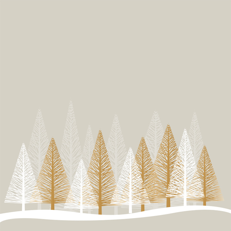 Visuel Caméléon® F-20A : Vos chocolats dans les boîtes et coffrets Caméléon®, le visuel Hiver F-20A apporte une touche hivernale à toutes vos spécialités de saison avec son décor.