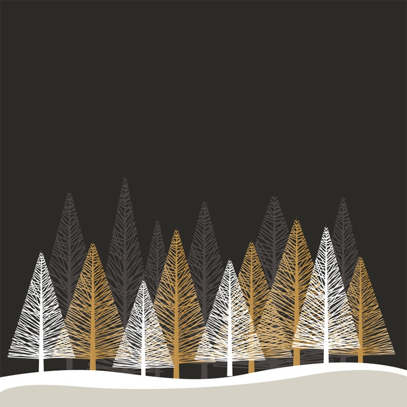 Visuel Caméléon® F-20B : Vos chocolats dans les boîtes et coffrets Caméléon®, le visuel Hiver F-20B apporte une touche hivernale à toutes vos spécialités de saison avec son décor.