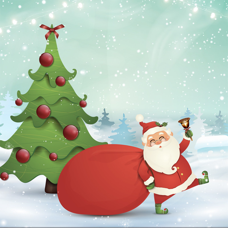 Visuel Caméléon® G-49 : Le visuel Caméléon® G-49 met en scène Noël avec des boîtes pour les chocolatiers et des cartes thématiques à insérer pour des packagings de fête uniques.