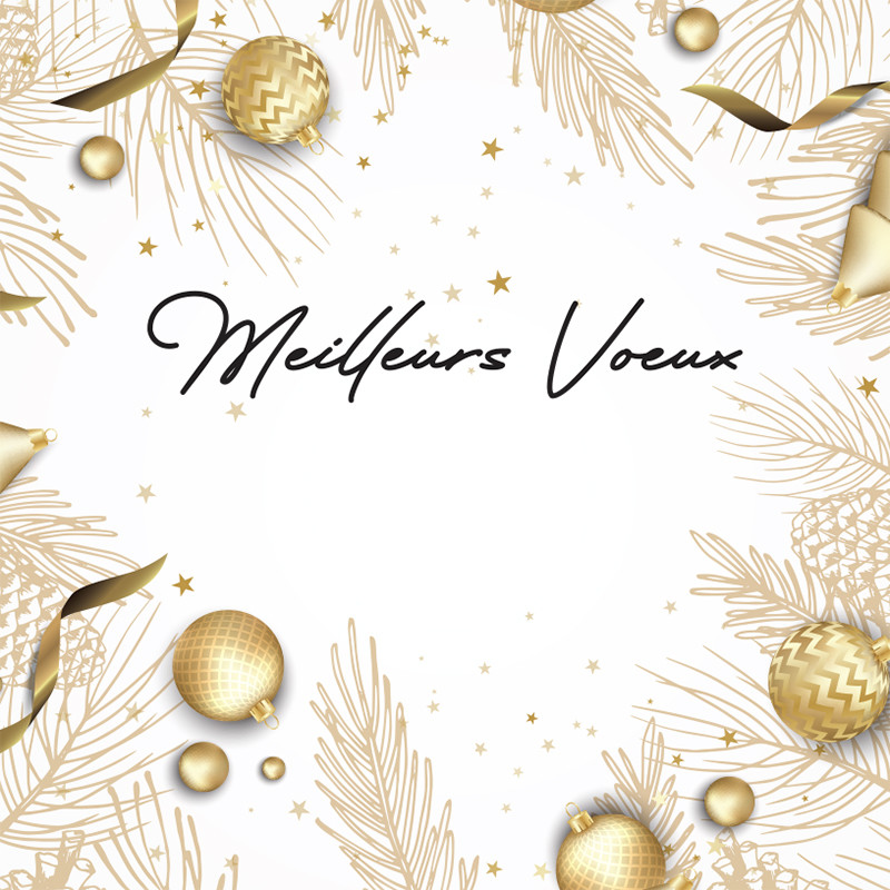 Visuel Caméléon® G-61 : Le visuel Caméléon® G-61 met en scène Noël avec des boîtes thématiques à personnaliser sur-mesure en quelques secondes pour des packagings de fête uniques.