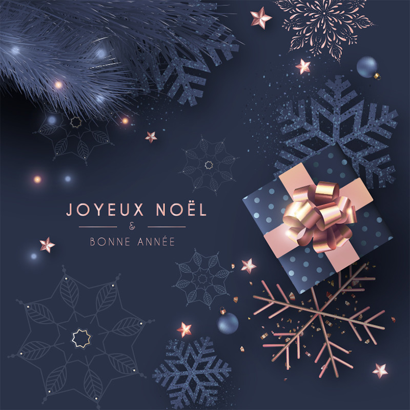 Visuel Caméléon® G-66 : Le visuel Caméléon® G-66 met en scène Noël avec des boîtes thématiques à personnaliser sur-mesure en quelques secondes pour des packagings de fête uniques.