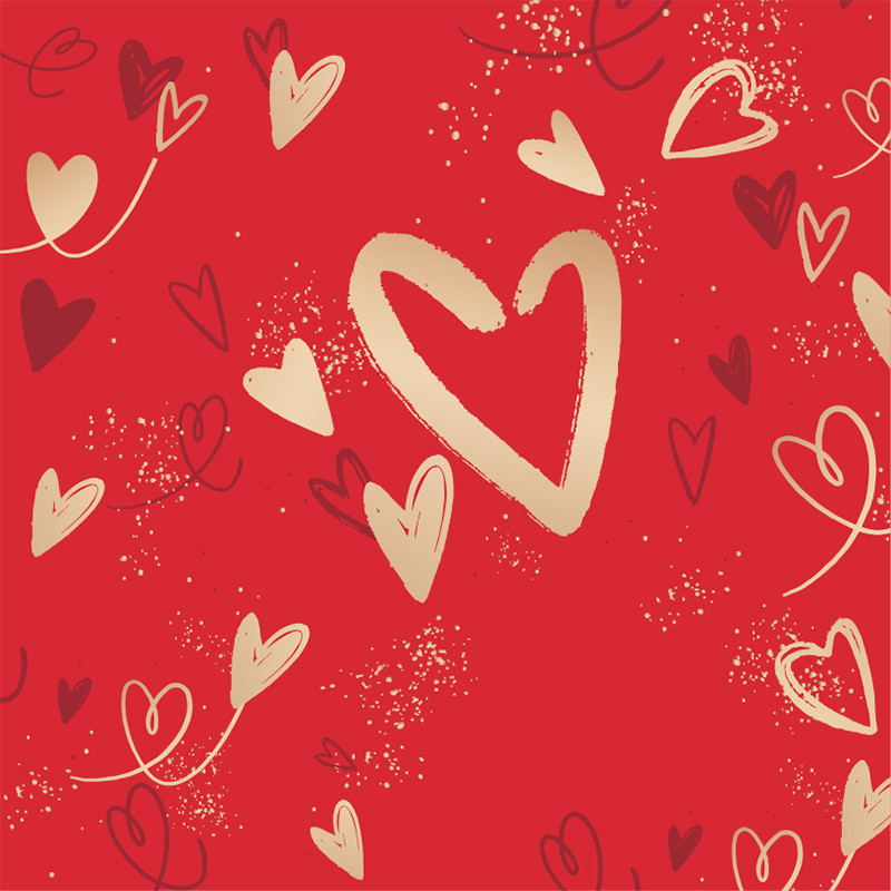 Visuel Caméléon® I-69 : Saint-Valentin, fête des mères, anniversaires, les boîtes Caméléon « Évènements et Fêtes » I-69 pour vos clients, toujours une occasion de goûter vos chocolats.