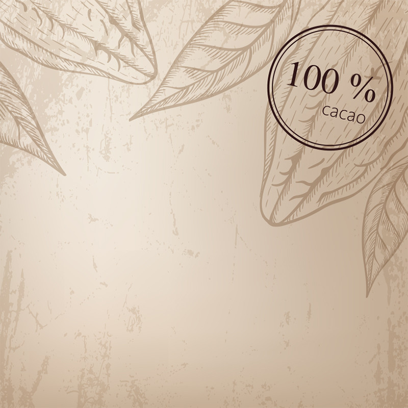 Visuel Caméléon® J-01 : Le visuel Caméléon J-01 apporte une identité naturelle et éco-responsable à vos packagings pour chocolatiers avec. nos boîtes personnalisable Caméléon.