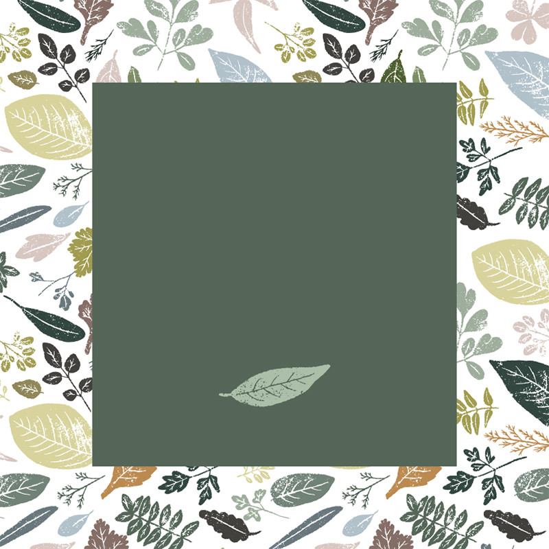 Visuel Caméléon® J-02 : Le visuel Caméléon J-02 apporte une identité naturelle et éco-responsable à vos packagings pour chocolatiers avec. nos boîtes personnalisable Caméléon.