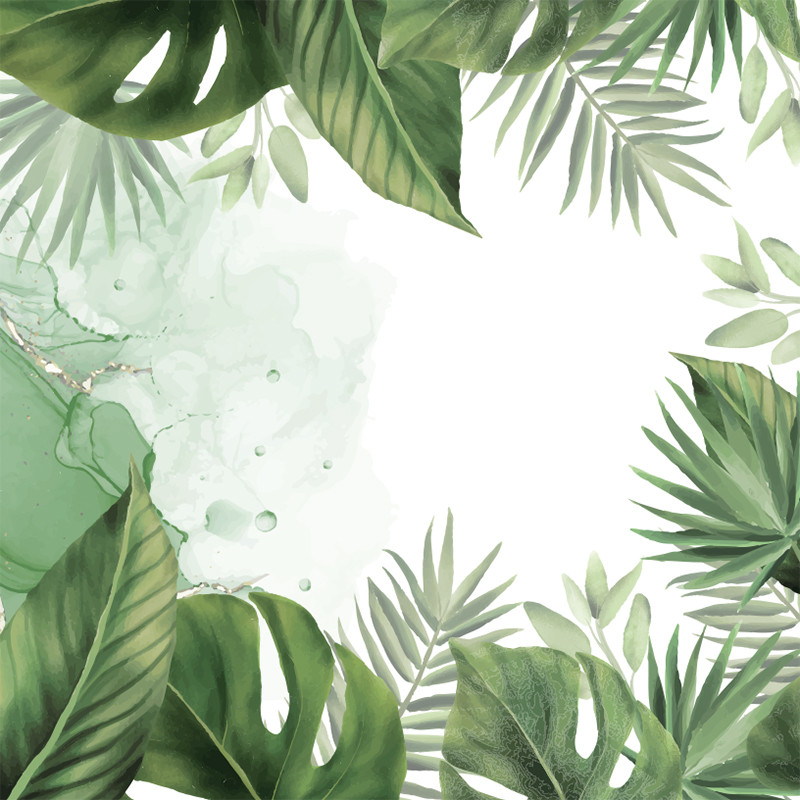 Visuel Caméléon® J-04 : Le visuel Caméléon J-04 apporte une identité naturelle et éco-responsable à vos packagings pour chocolatiers avec. nos boîtes personnalisable Caméléon.