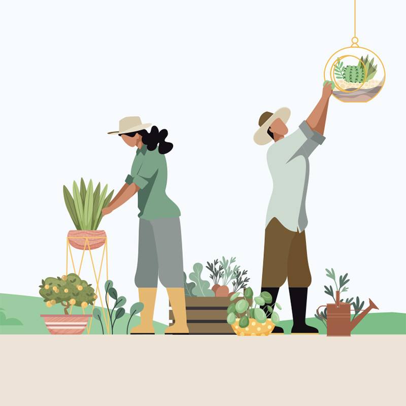 Visuel Caméléon® J-08 : Le visuel Caméléon J-08 apporte une identité naturelle et éco-responsable à vos packagings pour chocolatiers avec. nos boîtes personnalisable Caméléon.