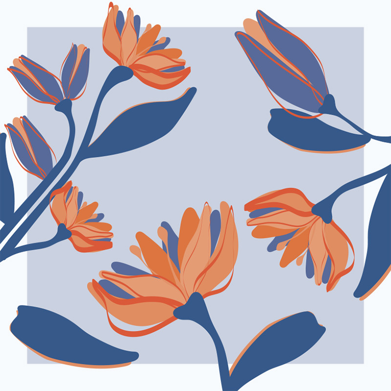 Visuel Caméléon® J-13 : Le visuel Caméléon J-13 apporte une identité naturelle et éco-responsable à vos packagings pour chocolatiers avec. nos boîtes personnalisable Caméléon.