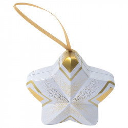 Boîte Étoile métallique "Apogée" - Packaging luxe pour chocolats
