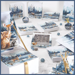 Kit vitrine "Matin d’Hiver" - Packagings de Noël - Vitrine clé en main