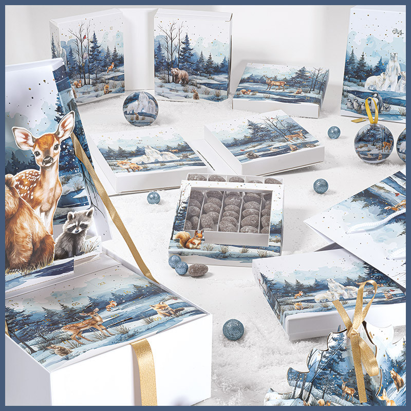 "Matin d'Hiver" - Le Kit Vitrine : Kit vitrine "Matin d’Hiver", assortiment prêt à l’emploi pour créer une vitrine hivernale poétique, solution clé en main économique et attractive.