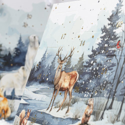 Calendrier Hamlet "Matin d'Hiver" Photo numéro 8 : Calendrier de l’Avent Hamlet "Matin d’Hiver" avec décor pop-up 3D et 24 compartiments thermoformés, coffret prêt à garnir pour chocolatiers, livraison assemblée