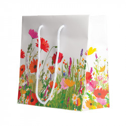 Sac Maxivision "Prairie" Photo numéro 3 : Sac Maxivision de la collection "Prairie" avec face transparente, idéal pour présenter et transporter vos moulages. Très attractif pour boutiques et clients.