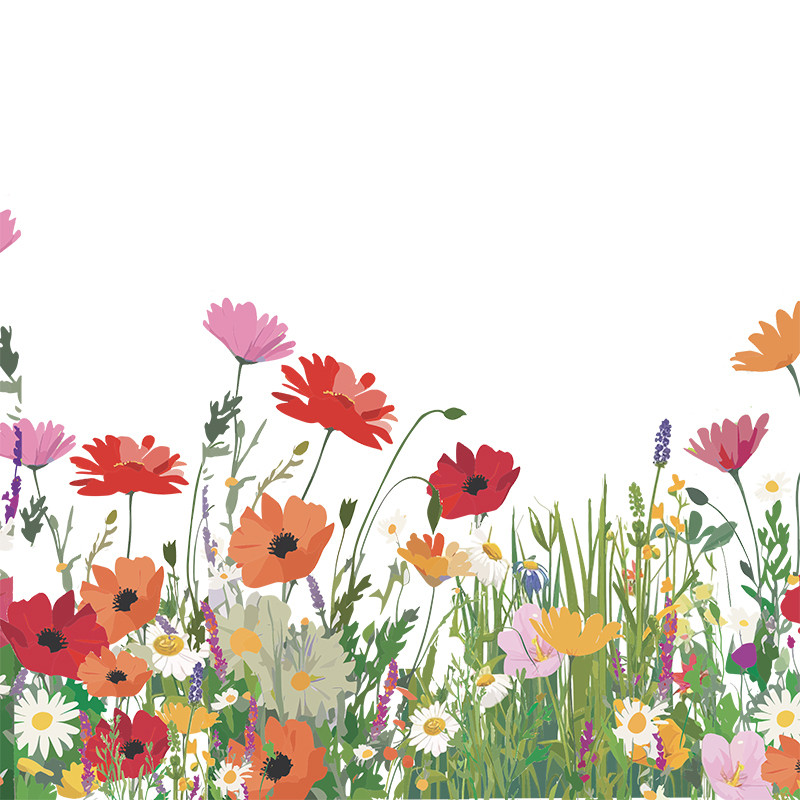 Visuel pour boîte Caméléon® D-21, Été