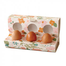 Coquetterie "Douceur Printanière" Photo numéro 3 : Boîte Coquetterie "Douceur Printanière" avec emplacements pour 3 œufs. Présentation pratique et soignée pour boutiques et chocolats de Pâques.