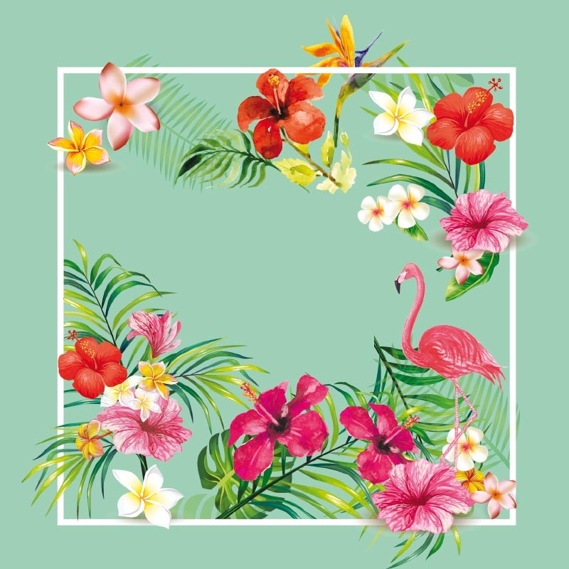Carte Caméléon D-14 | Flamant Rose et flore tropicale luxuriante