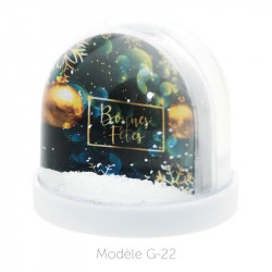 Boule à Neige Caméléon - Packaging personnalisable avec carte G-22