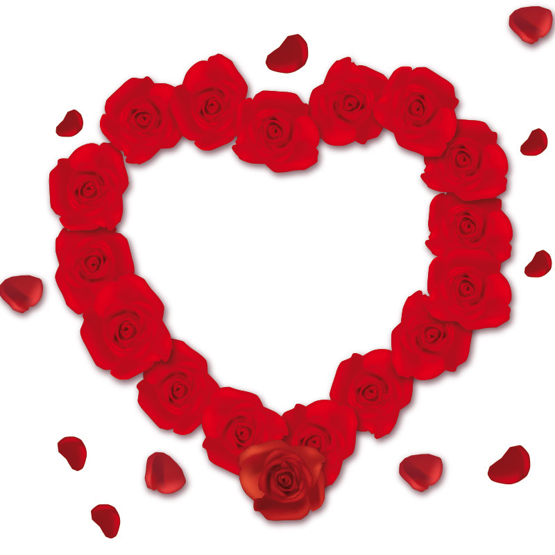 Packaging personnalisé - Carte Caméléon I-67 - Design "Coeur de roses"