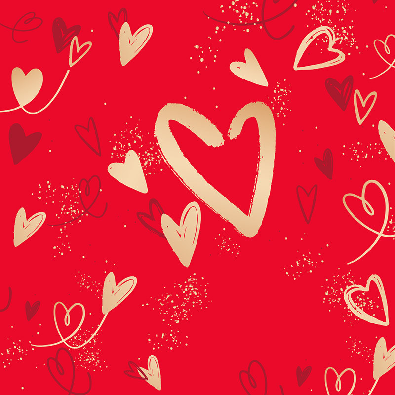 Carte Caméléon I-69 pour chocolatiers/pâtissiers - Cœurs St-Valentin !