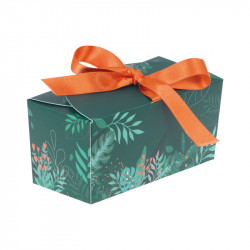 Ballotin Ruban "Céladon" Photo numéro 4 : Notre gamme "Céladon" regroupe des packagings printaniers pour fêter Pâques avec fraîcheur. Un design moderne à ne surtout pas manquer !