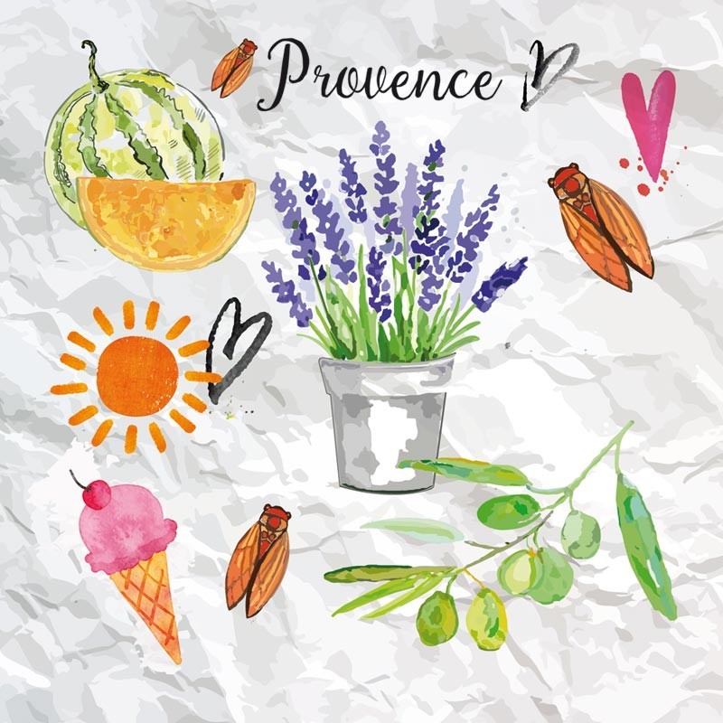 Packaging alimentaire personnalisé Provence - Carte Caméléon A-03