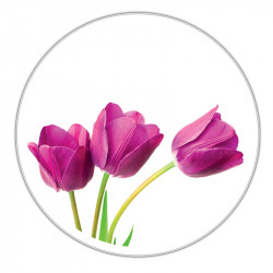 Boîte ronde métallique Caméléon C-19 - Motif tulipes violettes
