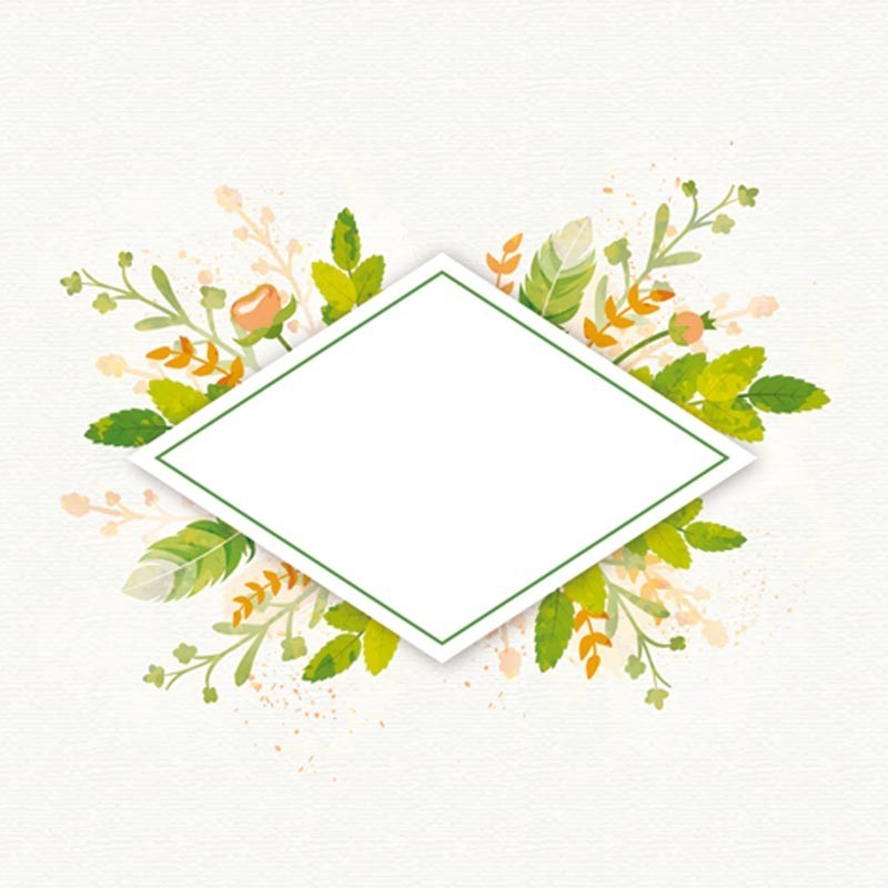 Carte Caméléon D-04 | Été Carte Caméléon D-04 | Été
