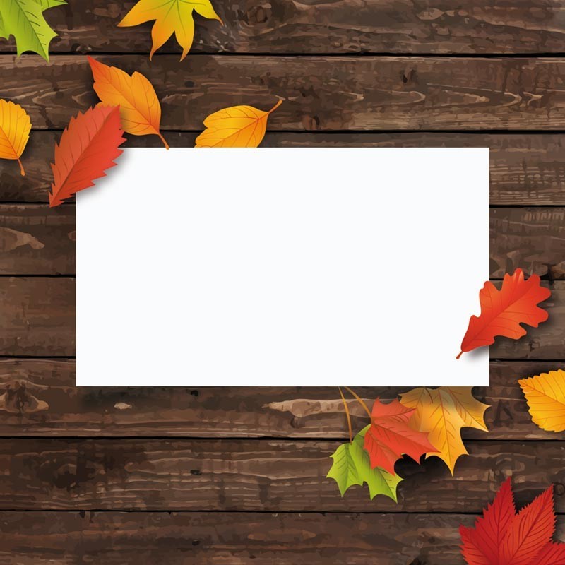 Carte Caméléon E-01 | Automne Carte Caméléon E-01 | Automne