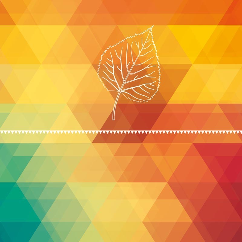 Carte Caméléon E-05 | Automne Carte Caméléon E-05 | Automne
