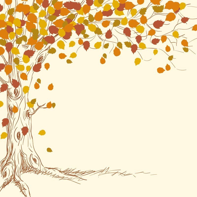 Carte Caméléon E-07 | Automne Carte Caméléon E-07 | Automne