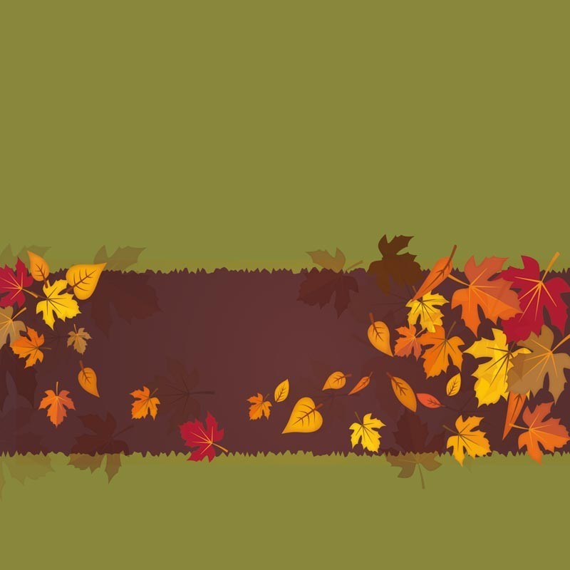 Carte Caméléon E-08 | Automne Carte Caméléon E-08 | Automne