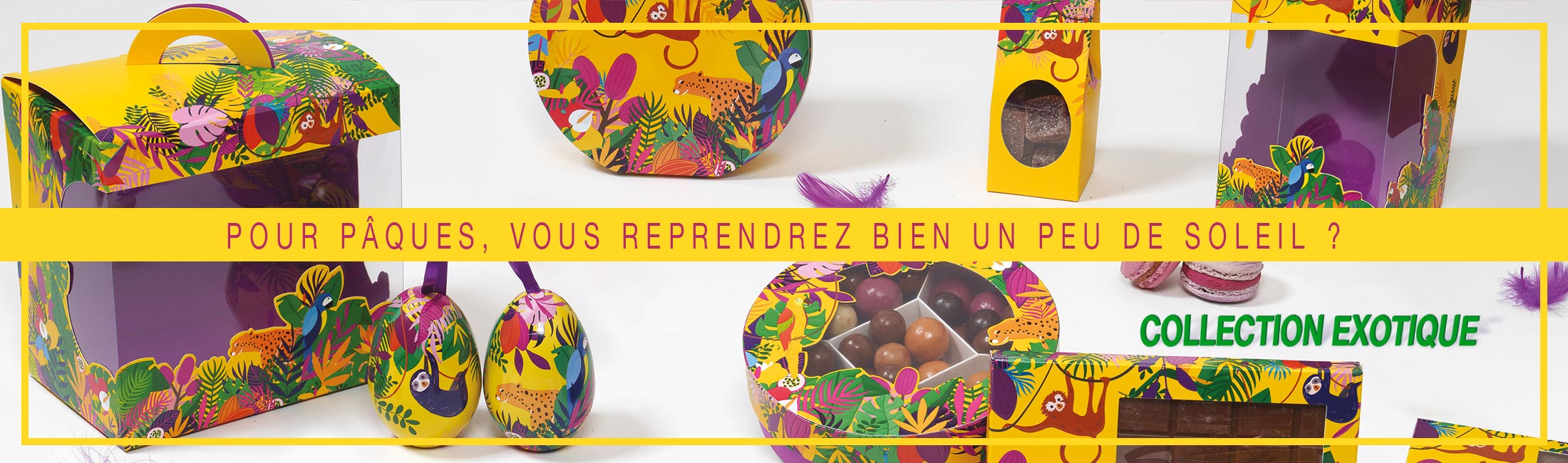 Nouvelle collection Pâques 2026 - Boîtes pour chocolats et packagings artisans gourmands