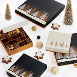 Boîtes carrées avec couvercle opaque