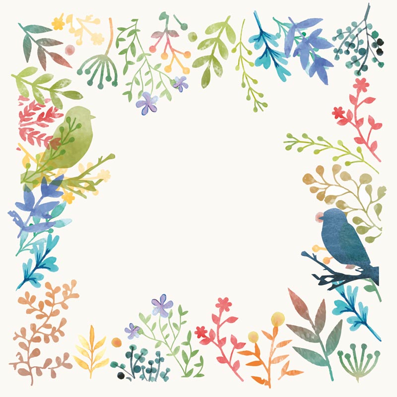 Packaging personnalisé illustration florale oiseau, Carte Caméléon C07